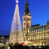 0598_1324 Blaue Stunde - Hamburger Rathaus in der Abenddämmerung, Weihnachtsbaum mit Weihnachtsstern | 